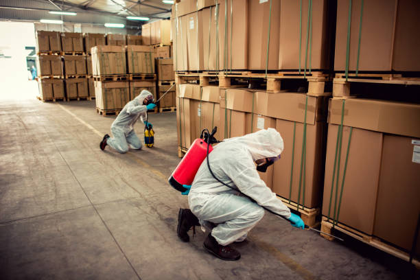 Best Pest Control Near Me  in Rio Vista, TX