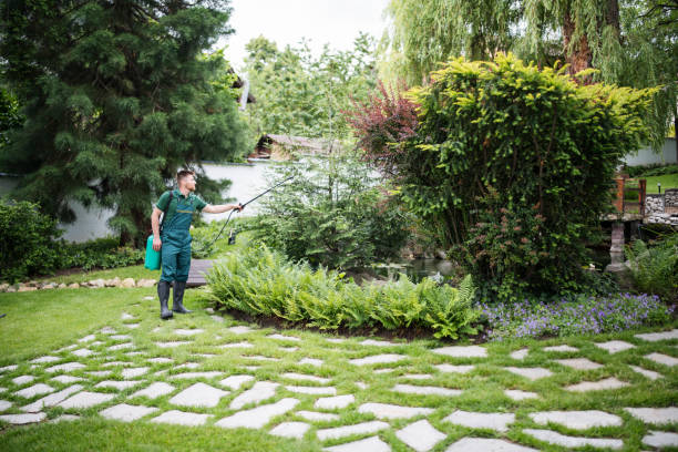 Best Pest Removal Services  in Rio Vista, TX