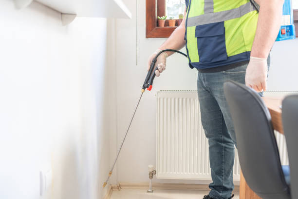Best Wasp Removal Services  in Rio Vista, TX