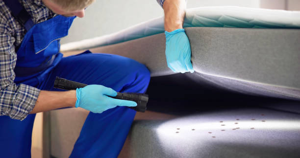 Best Flea Control Services  in Rio Vista, TX