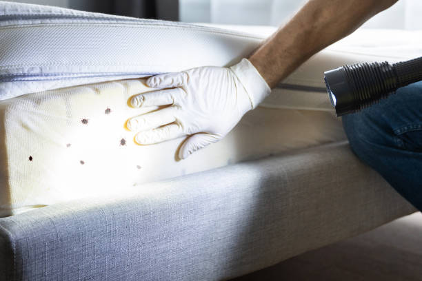 Best Best Pest Control Companies  in Rio Vista, TX