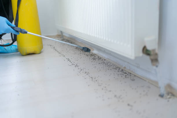 Best Pest Control Near Me  in Rio Vista, TX