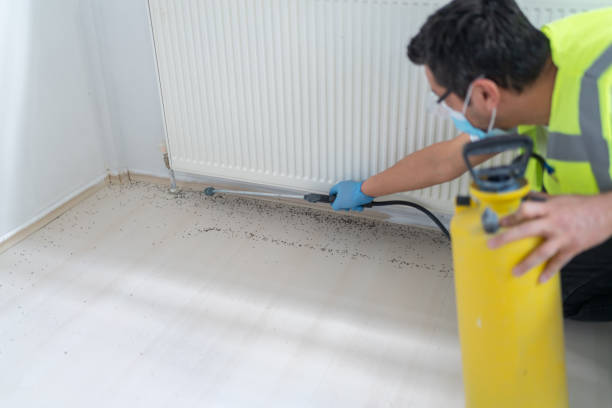 Best Cockroach Control Services  in Rio Vista, TX